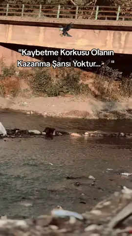 Racon sözler alalım...🦅#storylikvideolar📌 #albunukeşfetetiktok #keşfettttttttttttttttttttttttttttttttt #sanlıurfaprovince #mostn 