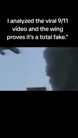 I analyzed the viral 9/11 video and the wing proves it's a total fake.