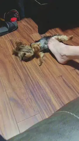 🤣🤣
