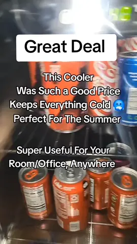 mini fridge that can hold food or drinks #foryoupage #fridge #cooler #roomdecor #fridgeorganization 