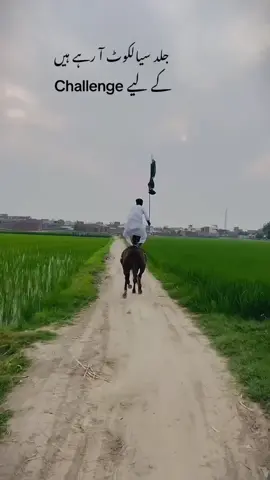 🔥👑 #foryou #foryoupage #standwithkashmir #mudasirjutt47 #100kviews 