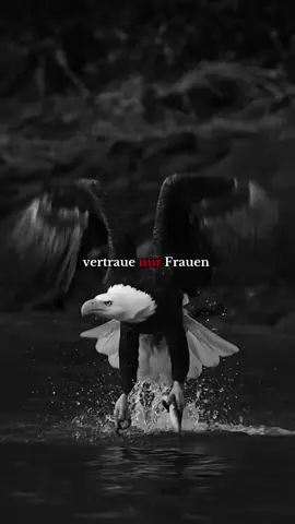 Werde Elite #motivation #regel 