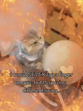 It’s a different story 😜😜#rizz #catsoftiktok #joke #relatable #fyp 