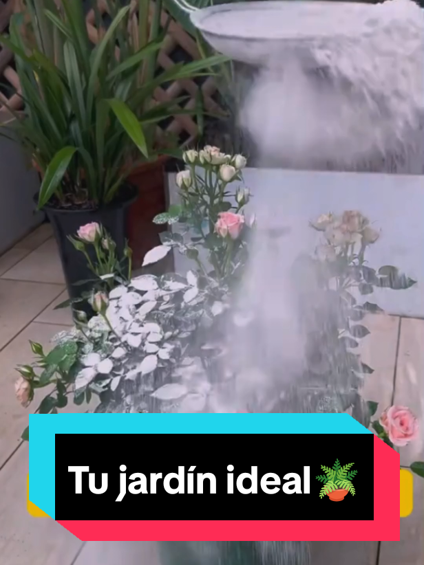 Tu jardín ideal está a un clic. 🪴 Comenta 