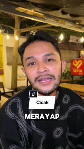 Cicak cicak di dinding #cicak #simpenan #fyp