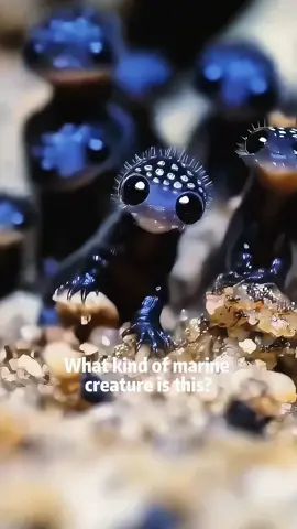 There are a lot of strange fish, and one of them looks a lot like your friend, you don't believe me, do you?  #science #fish #us #usa #usa🇺🇸 #usa_tiktok 