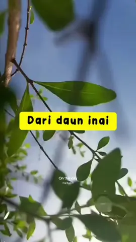 #onthisday #inaidamia #inaidaunasli #inaimerah #inaijari