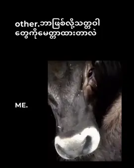 ရှင်သန်မူ့ကိုတော့သတ္တဝါတိုင်းမြတ်နိူးတယ်#ဗဟုသုတအဖြစ်တင်ပေးတာပါနော် #ဓမ္မမိတ်ဆွေအပေါင်းသူတော်ကောင်းတို့🌹🌹🌹 #fyppppppppppppppppppppppp #fypageシ #သာသနာ့ဝန်ထမ်းရှင်ရဟန်း✨🖤🙏 
