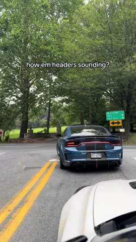 #fyp #widebody #charger #392 #srt 