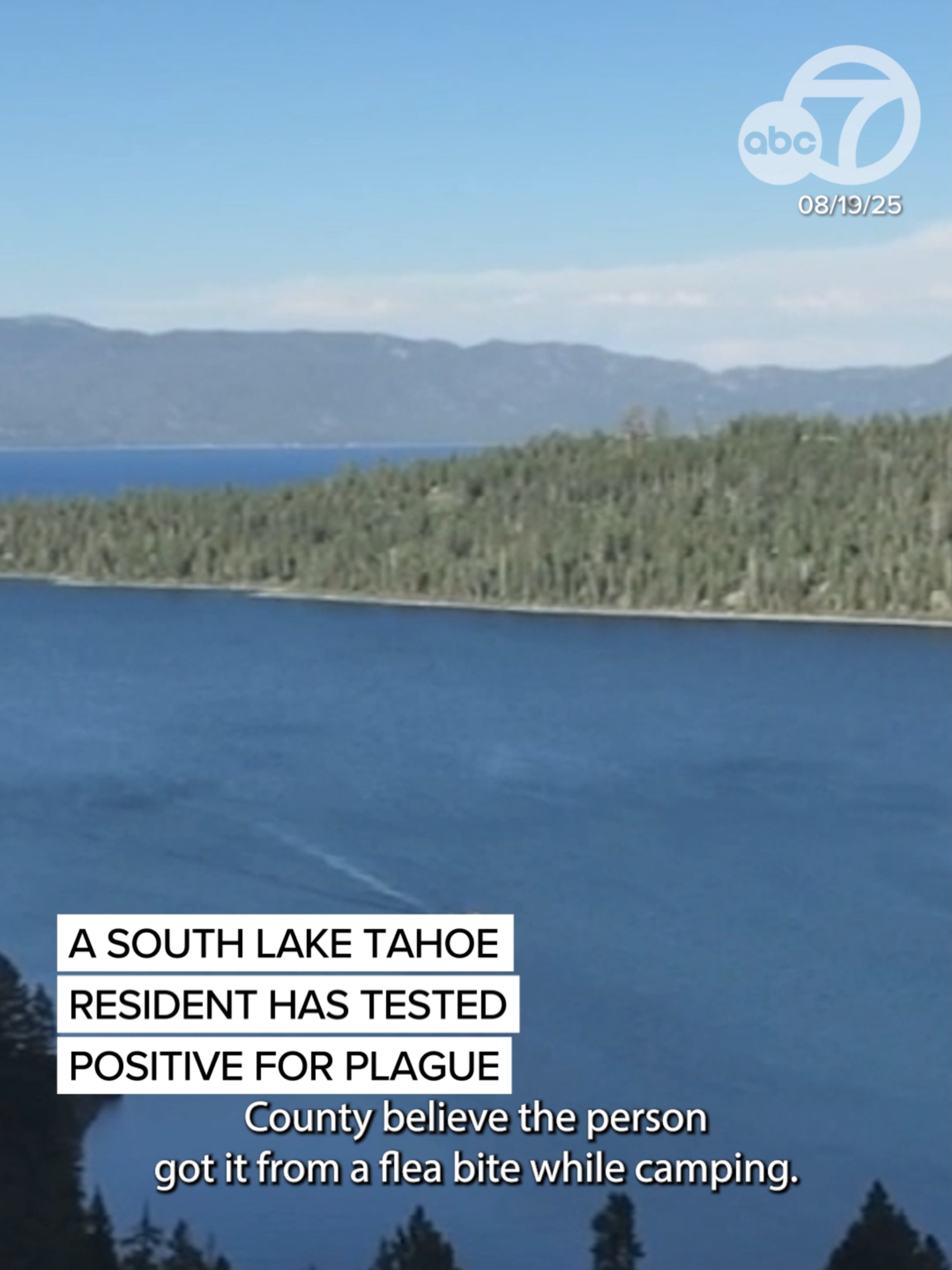 A South Lake Tahoe resident is recovering at home after testing positive for the plague. Health officials In El Dorado County, California, believe the person got the plague from a flea bite while camping. #plague #disease #tahoe #bubonicplague #abc7news