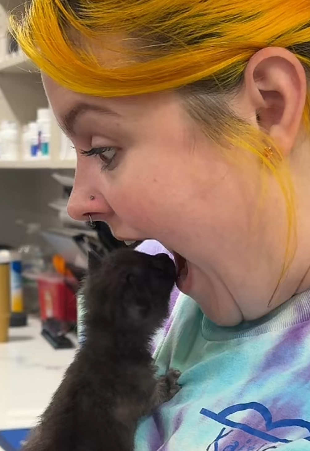 consent is important #fyp #vetmed #cats #funny #jokes @kait_astrophie 
