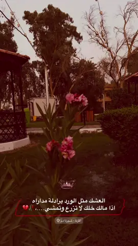 #اكتبولي_عبارات_اصمم_عليها #explore 