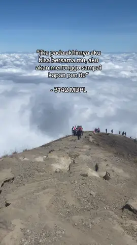 #pendakigunung #gunungindonesia #3142mdpl #pendakifomo #fyp 