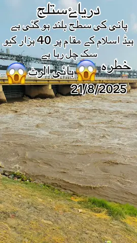 #دریاۓستلج #satlujriver #hadislam #viral_video 