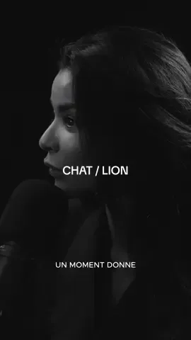 Et je ne parle pas de chat 🐱 🦁  #cinqetjeudi 