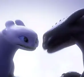 maybe one day this type of love will found me🤍🖤#httyd #nightfury #lightfury #howtotrainyourdragon #fypedit 