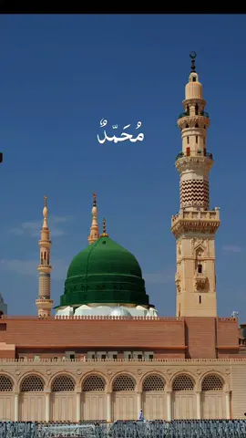 🤍 The most beloved to Allah, the most beloved to us — Muhammad ﷺ #CapCut #fyp #IslamicReminders #islamic_video #madina #journeytojannah #muslimtiktok #nasheed  