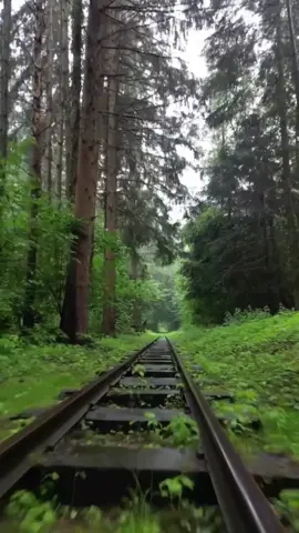 #красота 