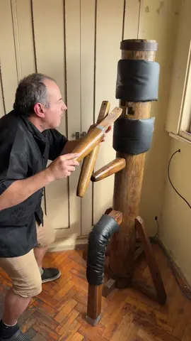 #paratiiiiiiiiiiiiiiiiiiiiiiiiiiiiiii #fyp #wingchun #music 