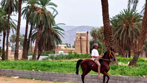 #اكسبلور؟ #تصويري_احترافي_الاجواء المبدع @المصور حسين بن حريش📸 👌🏻🕊😴 #خيل_وخياله🐎 #هشتاقات_تيك_توك_العرب #اكسبلووووورررر 