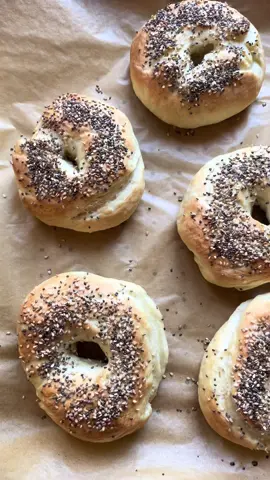 Leckere, fluffige Bagels 🥯 ganz einfach und schnell: 20g Germ 1EL Zucker 150ml Milch 170ml Wasser 👉🏼 gut vermischen 500g Mehl 2TL Salz 2EL Olivenöl 👉🏼 dazugeben, vermengen und gut kneten, danach für mindestens 45 min abgedeckt ruhen lassen 👉🏼 Bagels formen und pro Seite etwa 1 min kochen 👉🏼 auf mit Backpapier belegtes Backblech geben, mit Milch bestreichen und beliebig toppen (z.B.: Sesam, Mohn) 👉🏼 ca. 20min bei 200 Grad Ober-/Unterhitze backen  Etwas abkühlen lassen & genießen😮‍💨🤩 #bagels #rezept #Recipe #einfacherezepte #EasyRecipe 