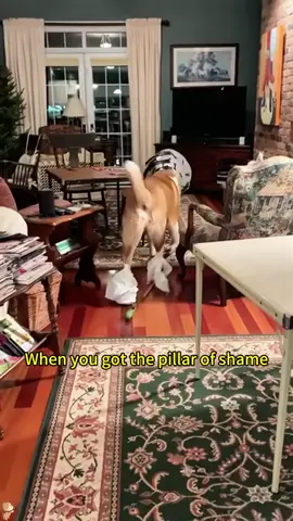 Doggie Destruction 🤣