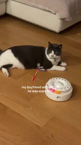 not him buying my cat toys for his birthday 🥹🩷  #cattok #catsoftiktok #couplehumor 