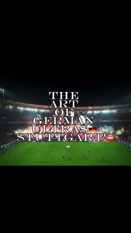 Enjoy this Art!  #ultras #ultrascontent #vfb #stuttgart #vfbstuttgart 