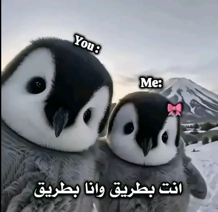 م يفوتكم الترند ي بنات 😂😂😂