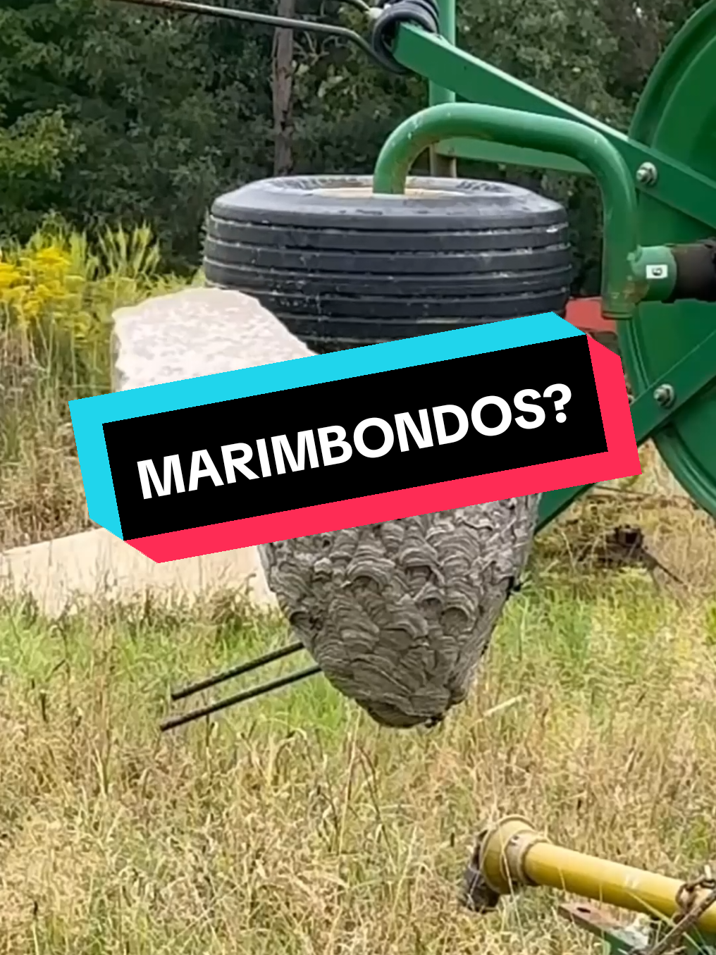 Como removem vespas? #curiosidades #divertido #trabalho #tecnologia 