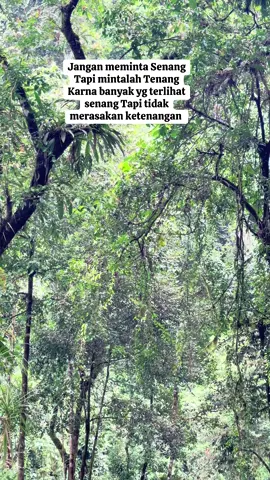 Pesan Hari ini #fyp #fyppppppppppppppppppppppp #trending #foryou #airterjun #curughujanlemonakai #curughujanbengkuluutara #healing #queteshidup #storytime #katakatabijak 