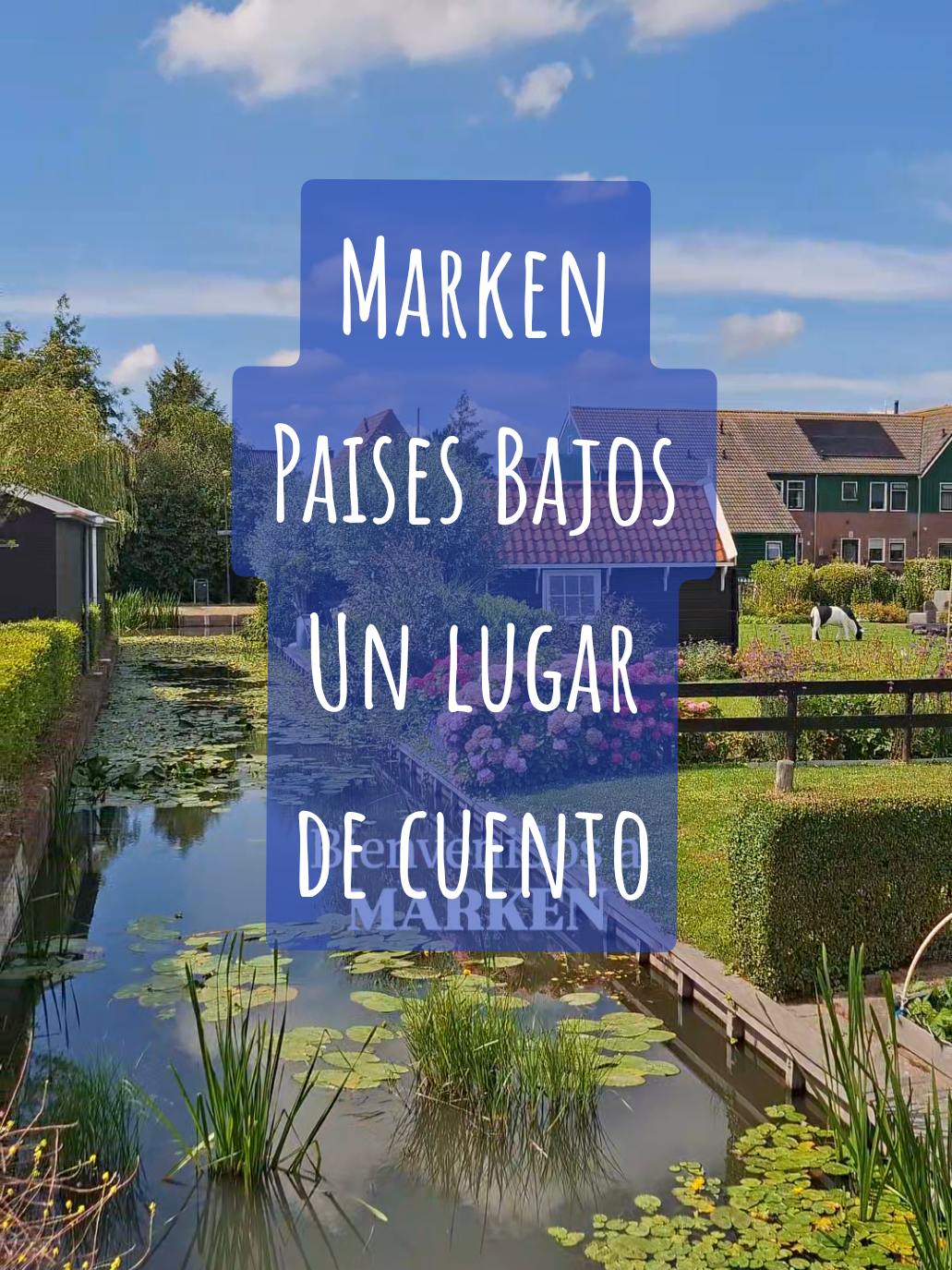 📍 Marken, uno de los pueblos más pintorescos de Holanda.  ✨ Un rincón de cuento a solo 30 minutos de Ámsterdam.  🏡 Sus casitas de madera, el faro y el ambiente tranquilo hacen que parezca sacado de un libro de historias.  👉 Se llega fácilmente en bus saliendo de la estación central de Ámsterdam o en ferry desde Volendam.  📝 Tip: combina la visita con Volendam y Edam en el mismo día para una experiencia redonda.  #marken #holanda #paisesbajos #nederlands  #nederland🇳🇱 