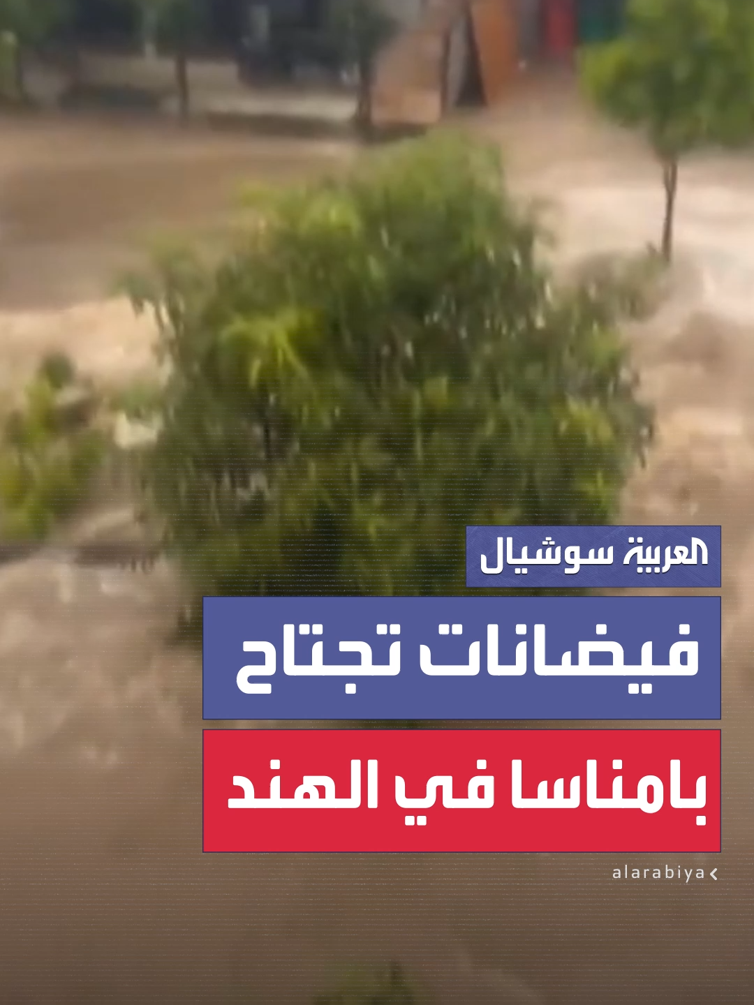 فيضانات واسعة تجتاح قرية بامناسا في غوجارات الهندية #العربية