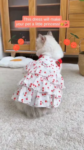 Let your cat strut their stuff in style this season. ☀️👗 🔍 Find it at https://temu.to/m/glung7lmrsq or with this code fdv6532. #Temu #TemuFinds #CatStyle