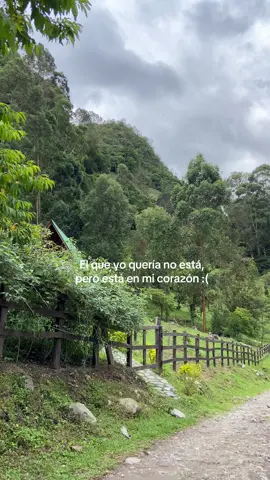 :(
