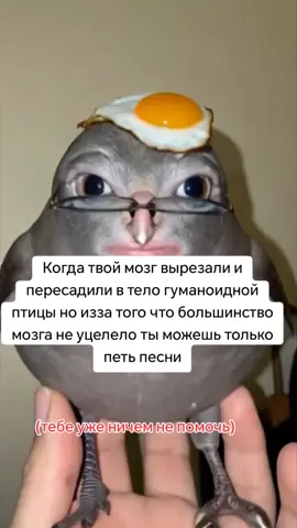 #jonmud #fyp #рекомендации #врекомендации #мем 