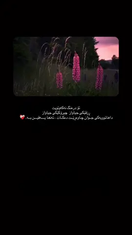 #اللهم_صل_وسلم_على_نبينا_محمد #سبحان_الله #oops_alhamdulelah #لا_اله_الا_الله #الله_اكبر 