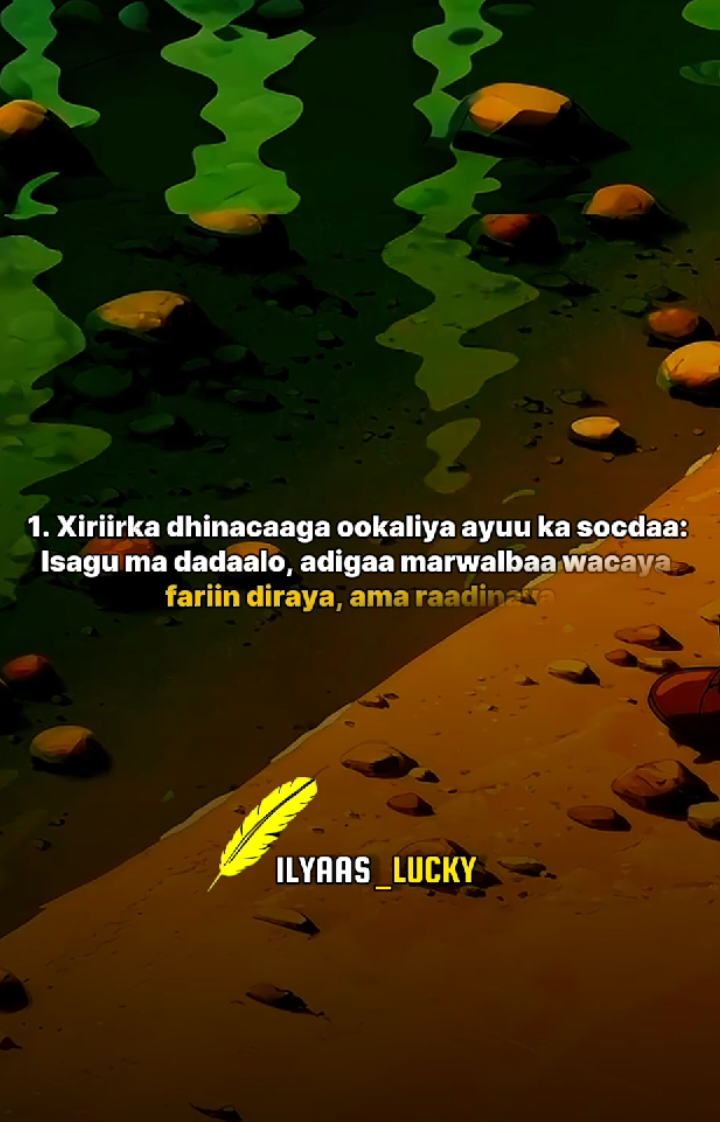 #fypシ゚ #foryoupage #somalitiktok #viral_videos #foryou 