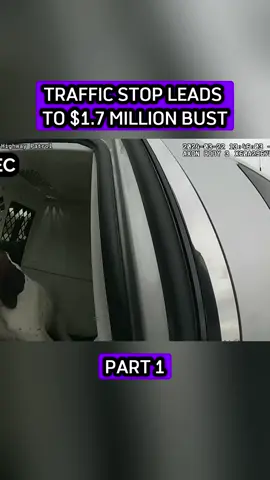 Traffic Stop Leads to $1.7 Million Bust	 #bodycam #cops #police #foryou #1 