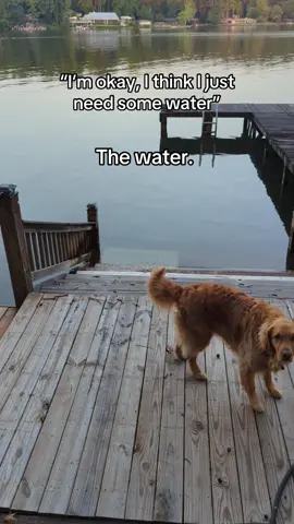 He’s not particularly. But all water makes life better. (Except the bath— that’s the worst) 