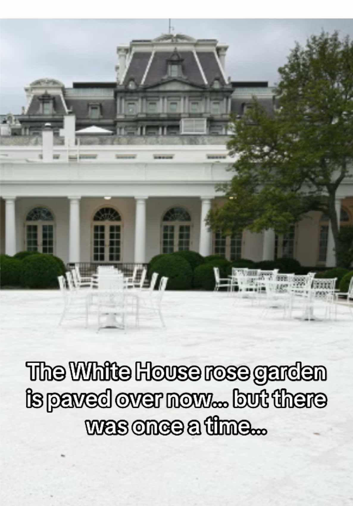 Seeing the White House rose garden being paved over feels so symbolic to how this whole administration feels, tacky and lifeless. #rosegarden #whitehouse 