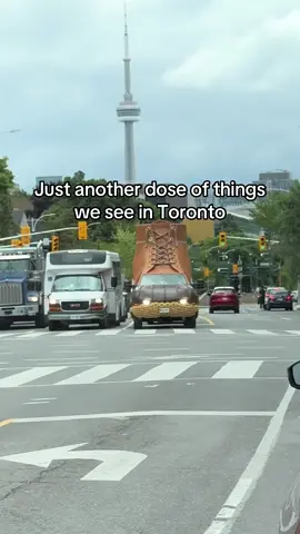 Where is the other pair? #toronto #the6ix 
