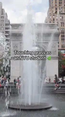 #NYU2029, in 3 DAYS, you'll discover urban oases in and around campus 🌳 #nature #college #nyu 