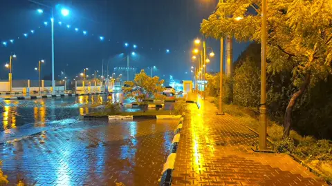 #مطرالليل😴💜 #هروب_سحر_الجنوب #تصويري📸اكسبلوور♥️🙂 
