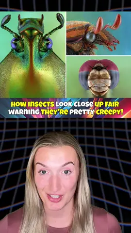 Yup I’m scared 😂