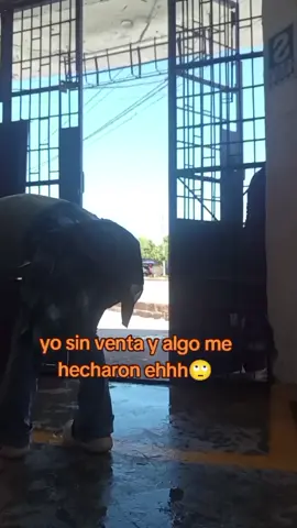 algo me hecharon 😬🙄🤭 #paratiiiiiiiiiiiiiiiiiiiiiiiiiiiiiii #venganyaacomprarsusgas#🫶🏻🙏🏻#pucallpaperú🌴🦜🐍🐢🦥 #paratiiiiiiiiiiiiiiiiiiiiiiiiiiiiiii #fypシ゚ 
