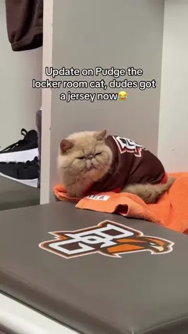 #BowlingGreen gotta locker room #cat 😂😼 (via @Finn Hogan) #football #cfb 