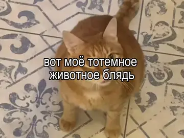 идея вроде моя, ну хз пока нигде не видела #thebrianmaps #тигра #тотемноеживотное #брайнмапс 