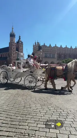 #fyp #كراكوف🇵🇱 