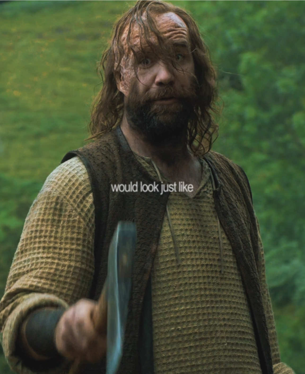 this works a little too well #sandorclegane #gameofthrones #thehound #shrek #rorymccann 🎵 sienna by the marias (scp: @mar)